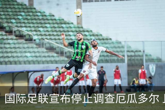 国际足联宣布停止调查厄瓜多尔 且不做任何处罚